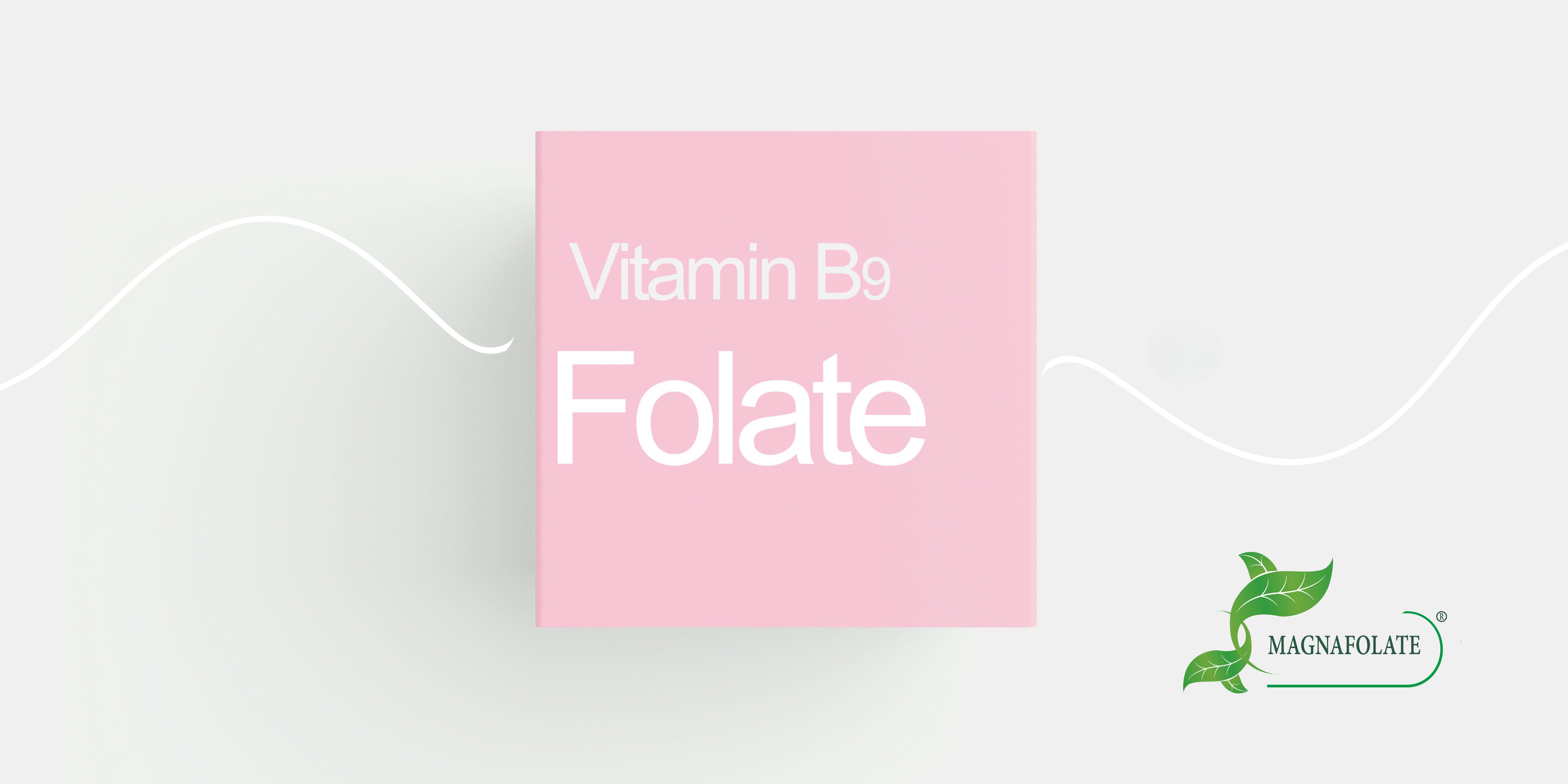 Methylfolate: The Miraculous Vitamin Nutrient Transforming Cardiovascular Health